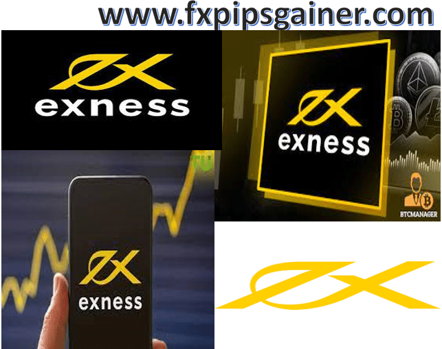 Exploring the Features of the Live Exness Platform Exploring the Features of the Live Exness Platform